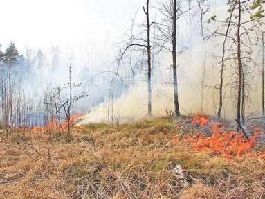 Пожароопасный сезон не замедлил себя ждать