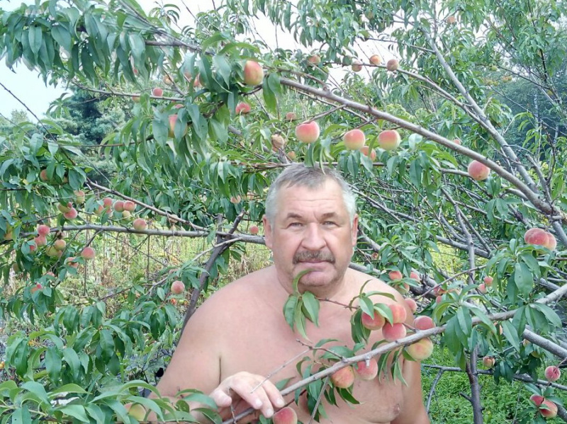 Почему вывоз мусора с дач - дорогое удовольствие