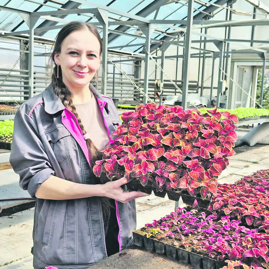 Хабаровск будет цвести с весны до осени