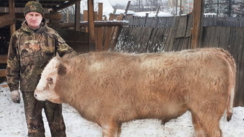 Правильное питание  или своя ферма на дальневосточном гектаре