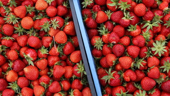 Получатель дв-гектара: «Пора выжимать с прилавков импортную продукцию»