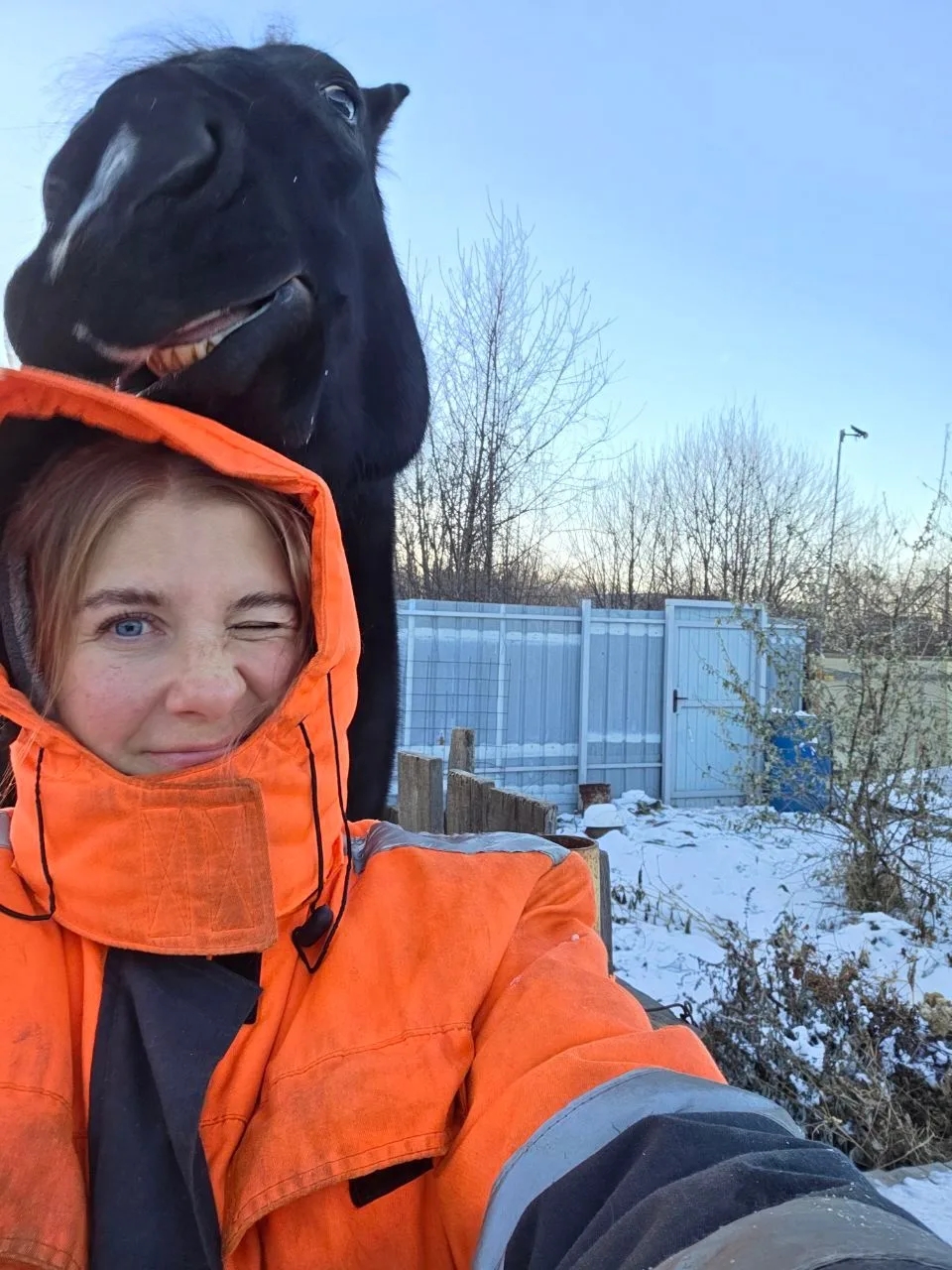 Диана и Текила, или Дружба человека с конём