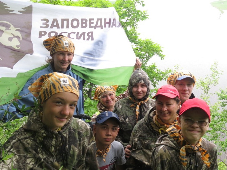Возраст дерева считают по кольцам
