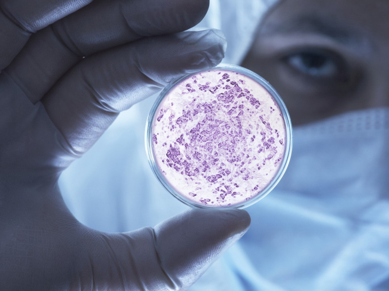 Свинка и корь хабаровчан больше не беспокоят?