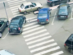 Охота на зебру