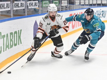 «Тигры» одолели «леопардов»