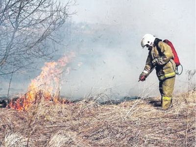 Шесть новых природных пожаров