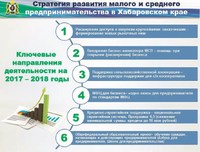 12 моделей решат 12 проблем для краевого бизнеса?