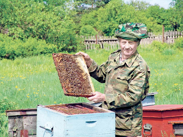 Спасибо, добрая пчела