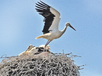 Для многих Удыль красивее Пхукета