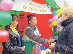 Свою картошку все мы уважаем