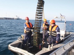 Нефть, порт и… морской гребешок
