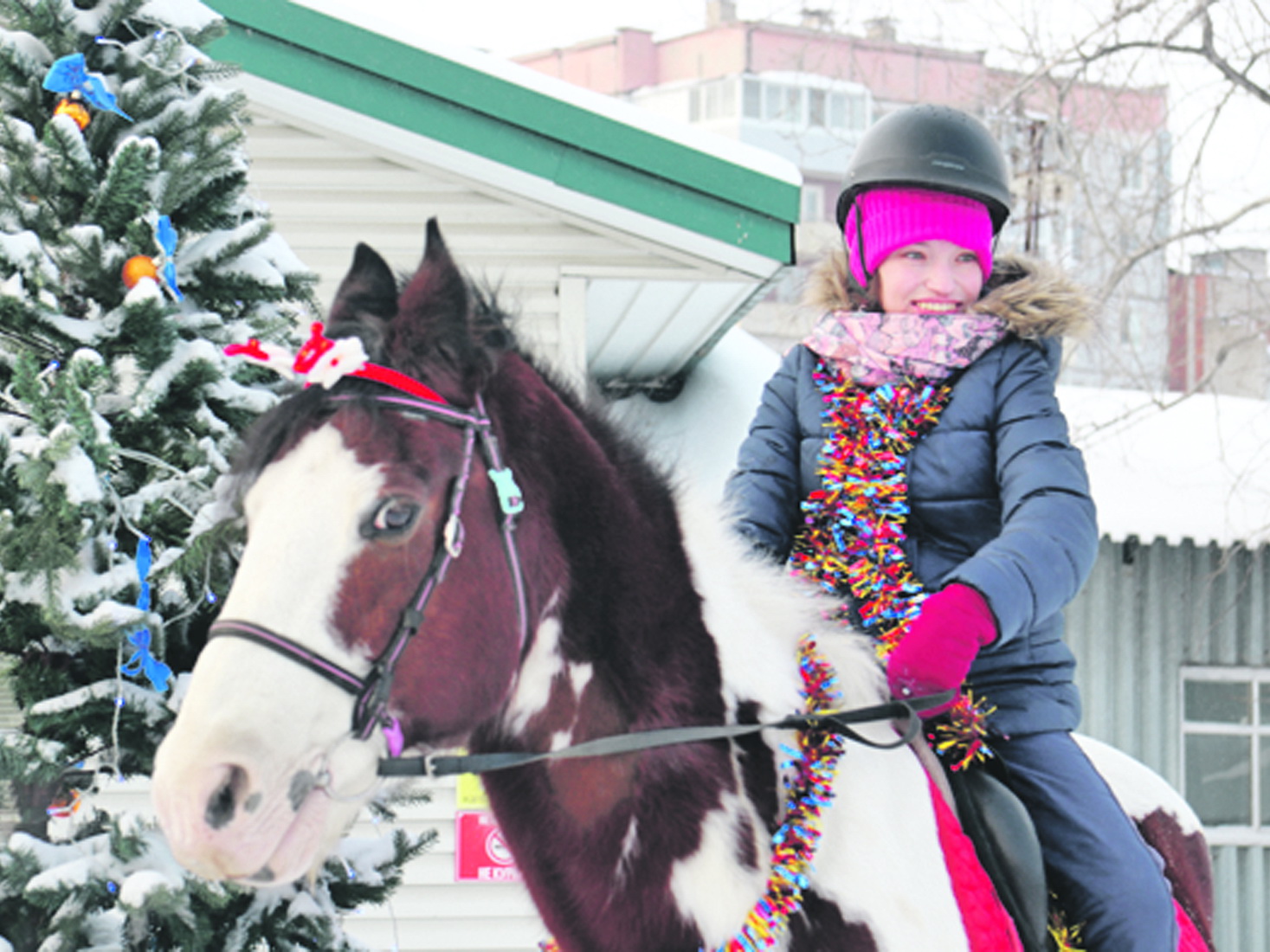Диана и Текила, или Дружба человека с конём