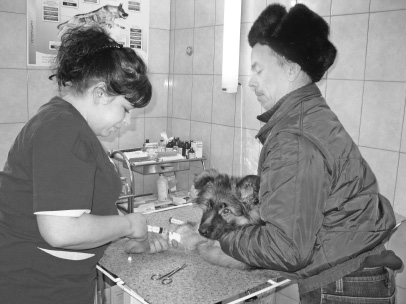 Будь здоров, дружок