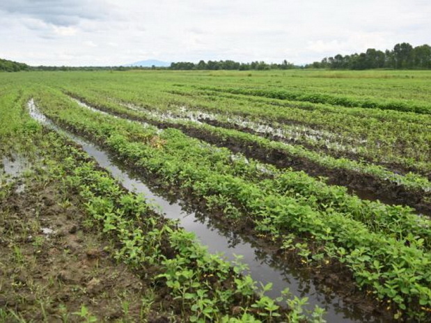 Будет возрождаться наша мелиорация