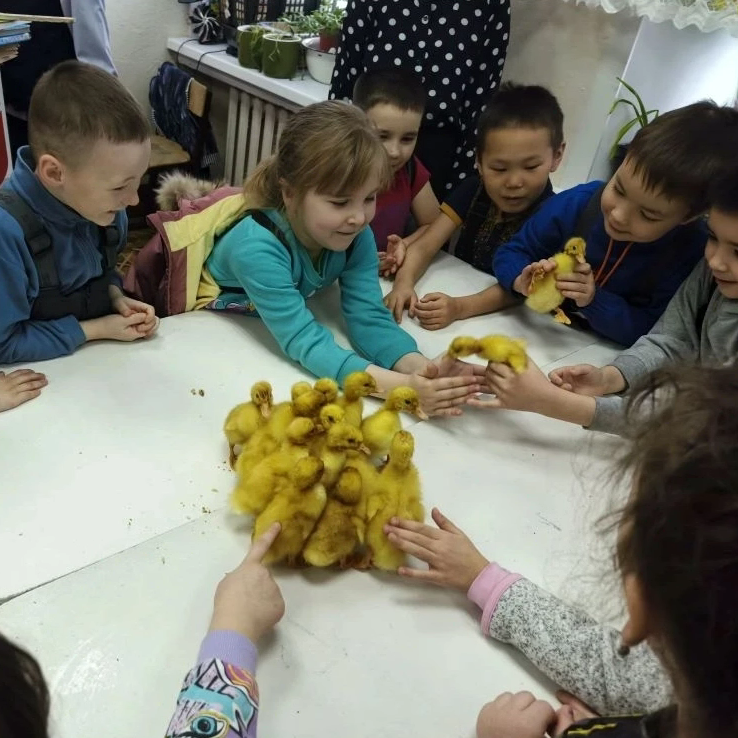 Общение с живой природой учит малышей милосердию