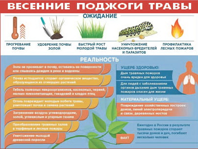 Скосите сухую траву, уберите мусор и горючие материалы