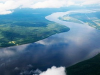 «Полосатые» процветают