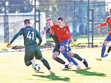 Турецкие смотрины