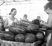 Безопасен ли арбуз, удивительный на вкус?