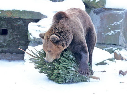 Увезите ёлку в зоосад