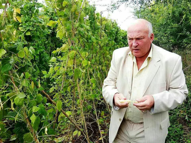 А ведь можно поднять дачную урожайность