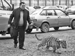 К Жорику пришла невеста