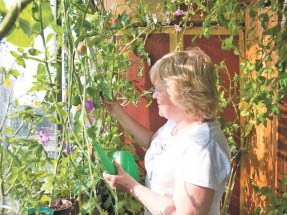 Сезон не закончился