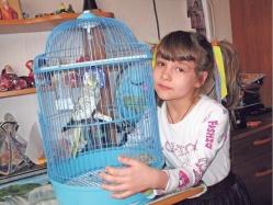 На кого похож любимый попугай 