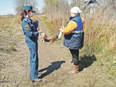 Протоколы все множатся
