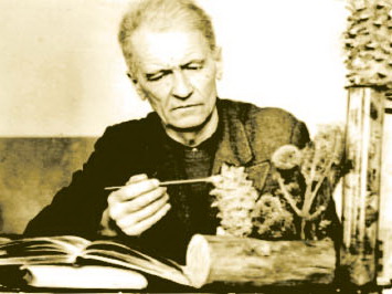 Запах вяземского мёда