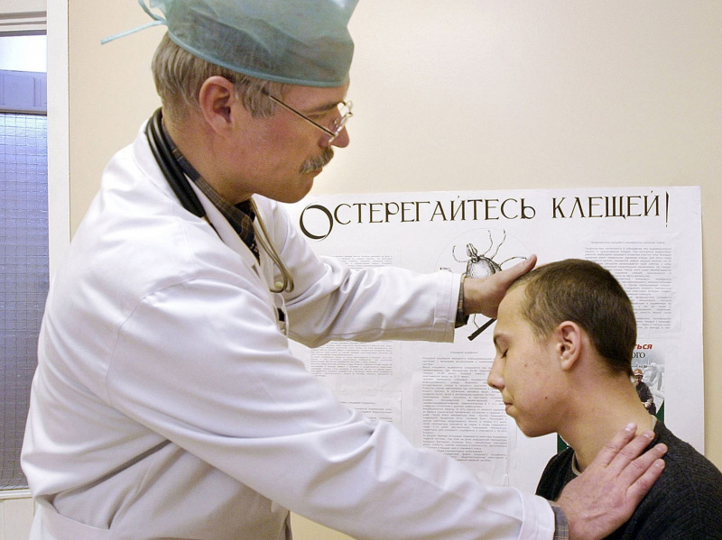 Борьба с клещами в Хабаровске продолжается