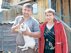 Откуда у фермеров шведская грусть