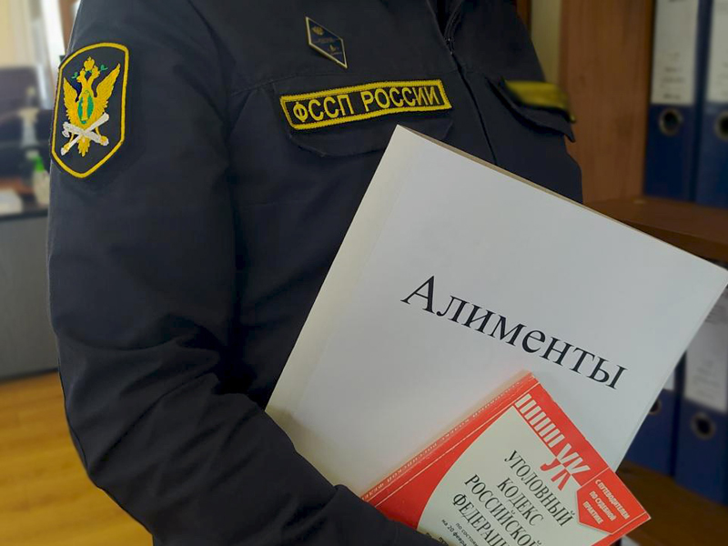 Реестр алиментщиков появится в России