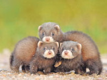 Селфи может быть с пользой