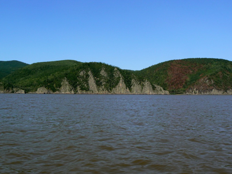 Зачем туристам ехать на… болота