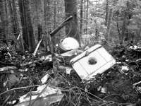 Пассажиры «Савойи-55» стали жертвой преступления?
