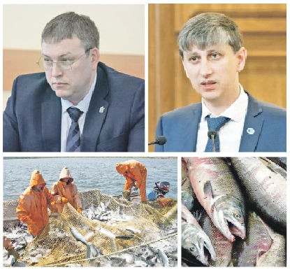 Лососёвая путина в Хабаровском крае: основная надежда на кету