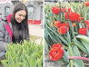 Розы и тюльпаны расцветут в центре Хабаровска