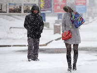 Сегодня в Хабаровске утром небольшой снег, днем без существенных осадков. 