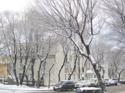 Где эта улица, где этот дом