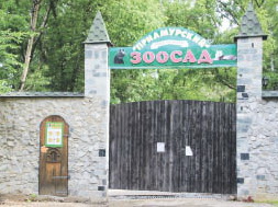 Приамурский зоосад принимает посетителей