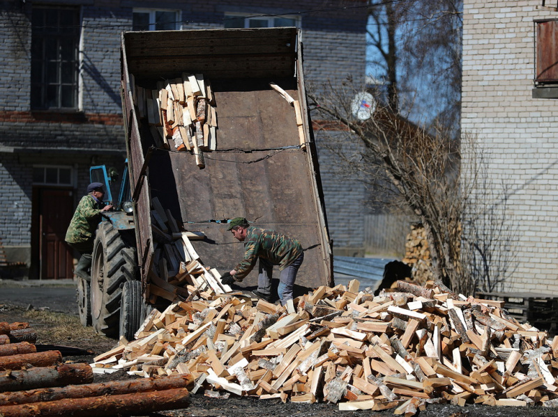 Дрова можно заготавливать самостоятельно