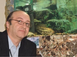 Ещё рыба и почти змея
