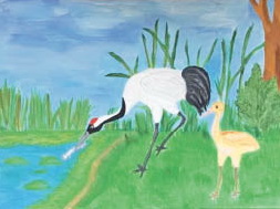 Бассейн Амура - самый «журавлиный» в мире