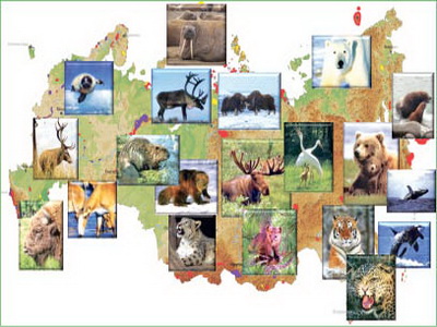 Границы заповедников узаконены