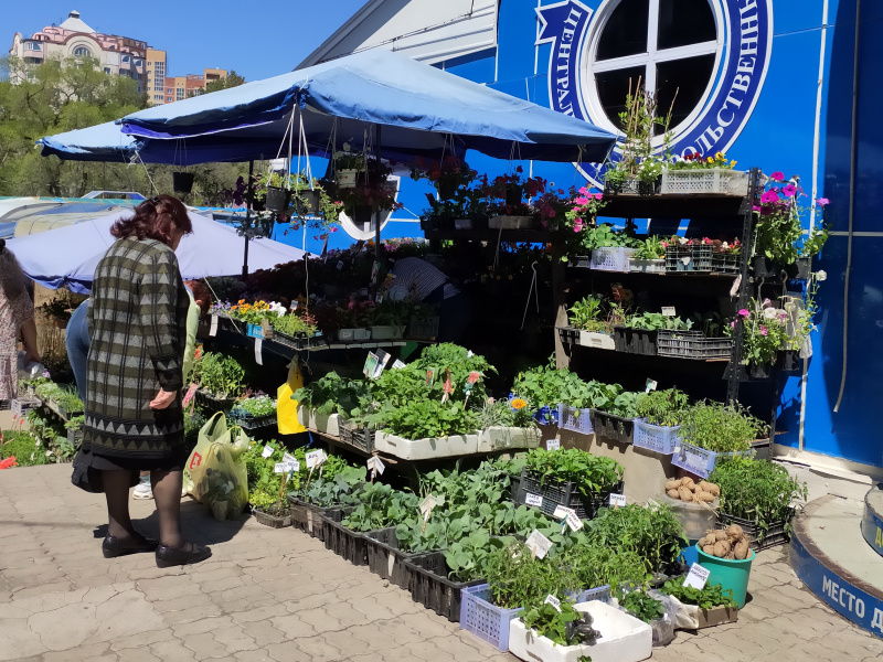 Квас и мороженое: битва за прохладу