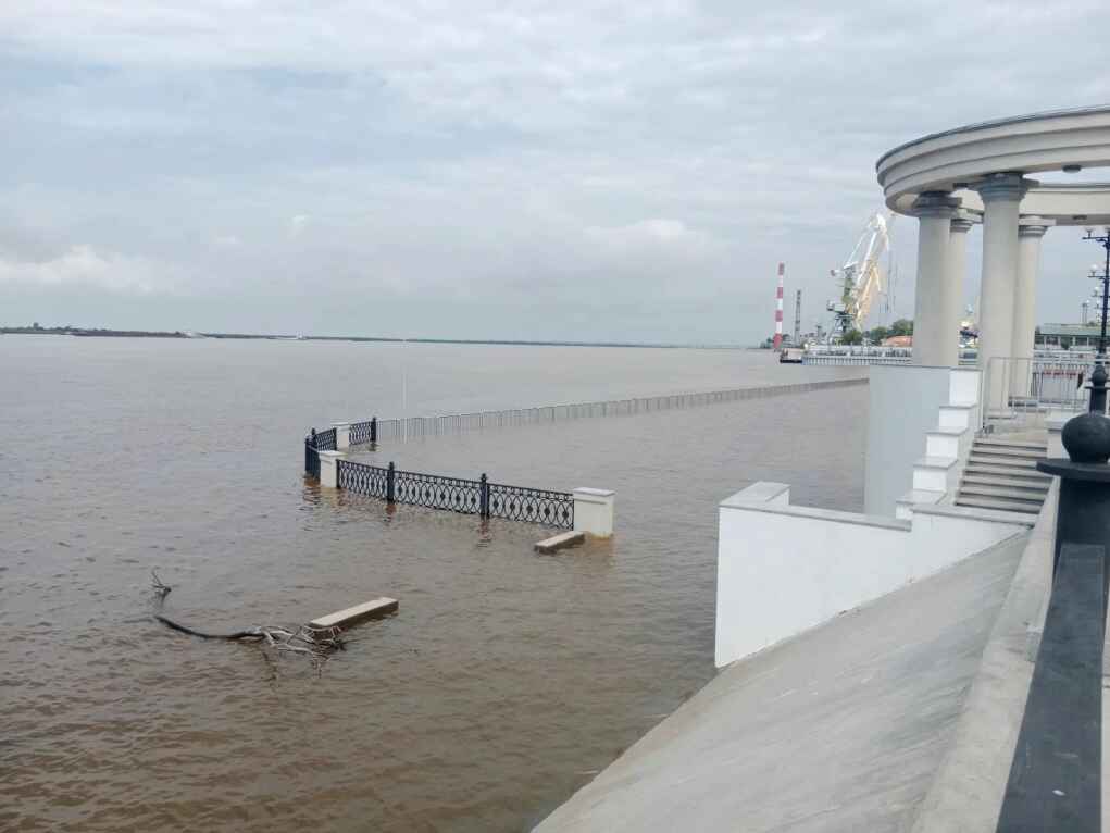 К середине августа Амур у Хабаровска может достичь пяти метров