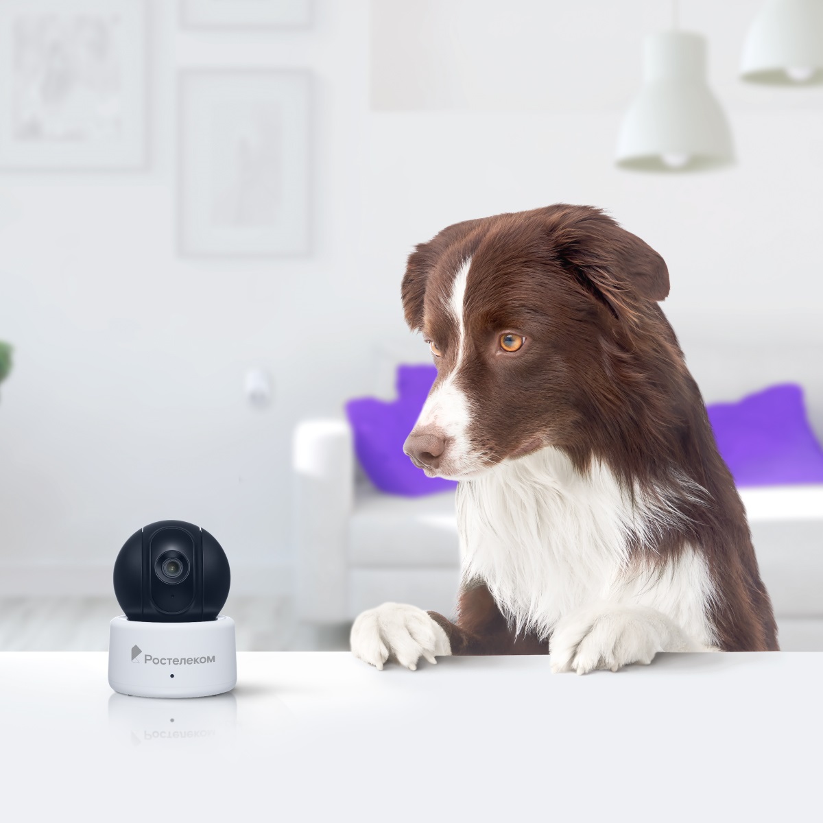 Наблюдение из облака: видеокамеры «Ростелекома» следят за сохранностью имущества хабаровчан