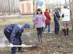 Мы посадим сирень под окном